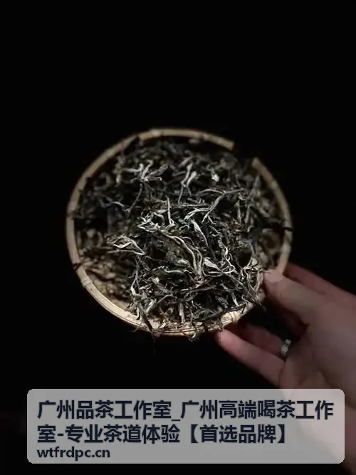 广州品茶工作室茶会活动策划